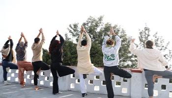 Affordable Yoga and Wellness Course in India